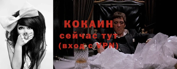 шишки Белокуриха