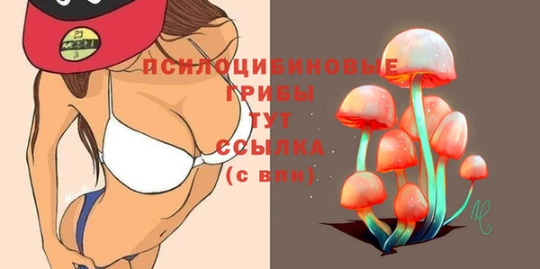 шишки Белокуриха