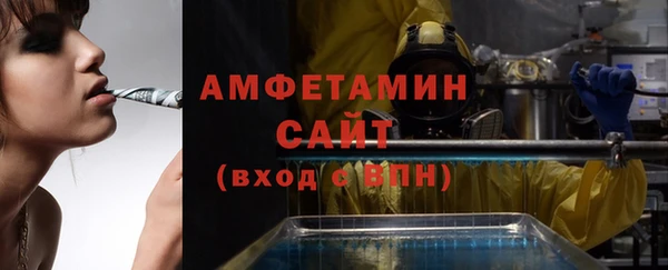 шишки Белокуриха