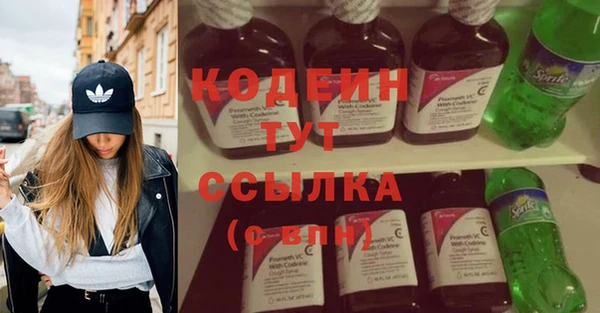 шишки Белокуриха
