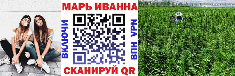 купить   Киселёвск  Конопля сатива 